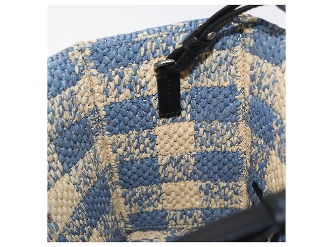 Borsa LOEWE Raffia 2way Azzurro Chiaro Argento Auth 158951SAV Blu chiaro - vista 19