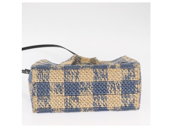 Borsa LOEWE Raffia 2way Azzurro Chiaro Argento Auth 158951SAV Blu chiaro - vista 5