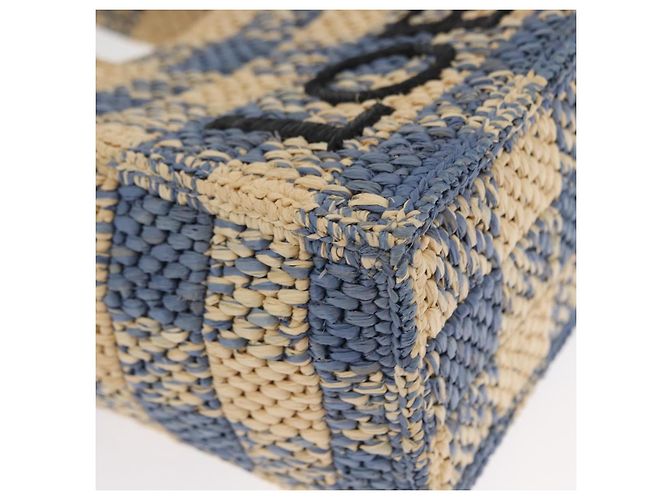 Borsa LOEWE Raffia 2way Azzurro Chiaro Argento Auth 158951SAV Blu chiaro - vista 9
