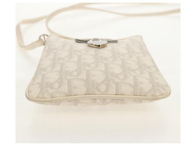 Borsa a Spalla Romantica Trotter Christian Dior PVC Bianco Argento Auth 158881V - vista 12