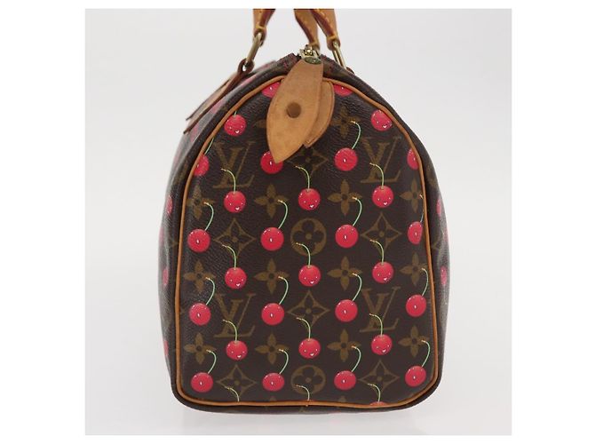 Louis Vuitton Borsa Speedy Edizione Limitata Monogram Cerises 25 Marrone - vista 3