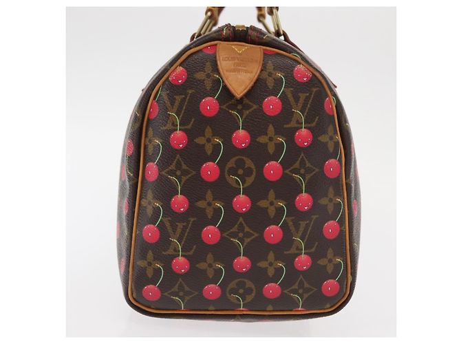 Louis Vuitton Borsa Speedy Edizione Limitata Monogram Cerises 25 Marrone - vista 4