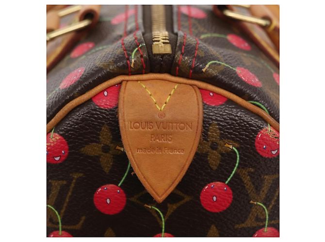 Louis Vuitton Borsa Speedy Edizione Limitata Monogram Cerises 25 Marrone - vista 6