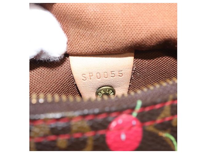 Louis Vuitton Borsa Speedy Edizione Limitata Monogram Cerises 25 Marrone - vista 7