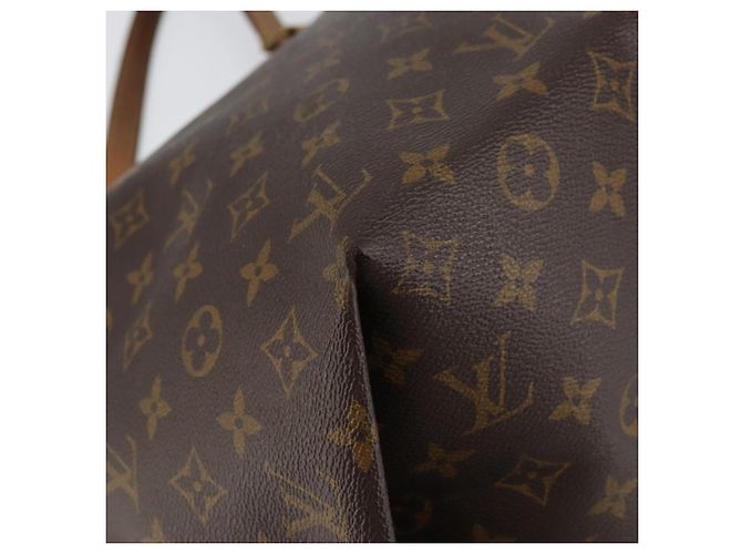 LOUIS VUITTON Borsa Tote Monogram All-in PM M47028 LV Auth BA9214 Monogramma - vista 14