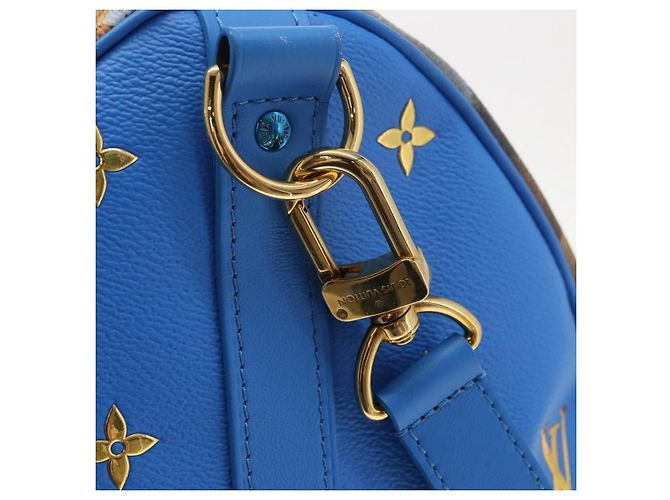 LOUIS VUITTON Collezione Masters Keepall Bandouliere 50 M43344 LV Auth 158953SAM Blu - vista 23