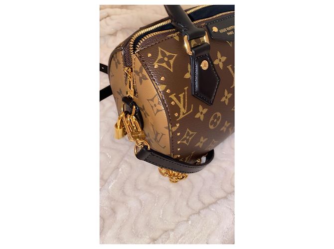 Louis Vuitton Baúl Speedy Marrón claro - vista 11