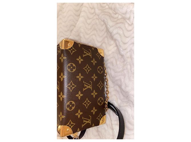 Louis Vuitton Baúl Speedy Marrón claro - vista 17