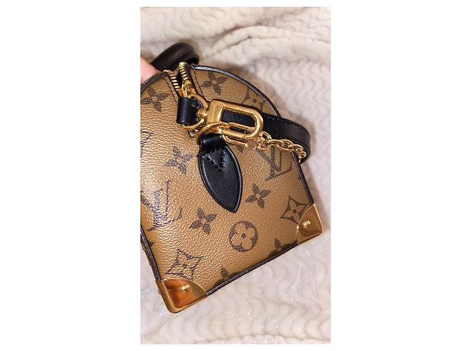 Louis Vuitton Baúl Speedy Marrón claro - vista 6