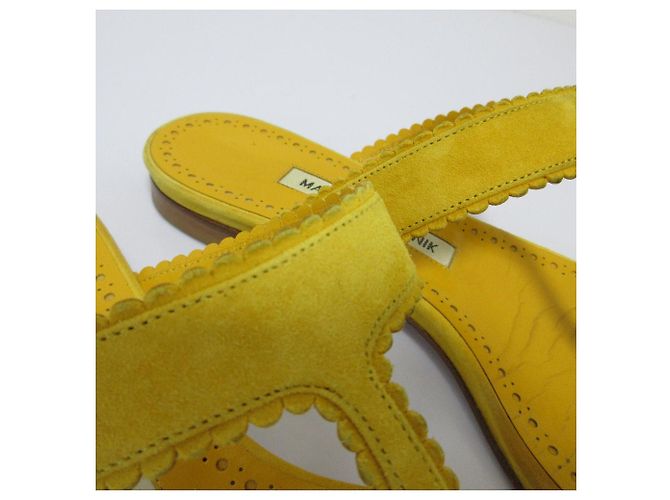 Sandali piatti in suede Altus di Manolo Blahnik Giallo - vista 13