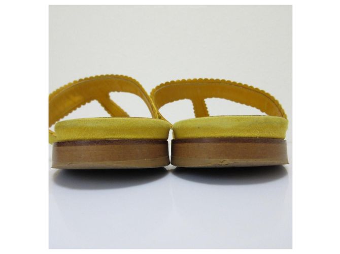 Sandali piatti in suede Altus di Manolo Blahnik Giallo - vista 15