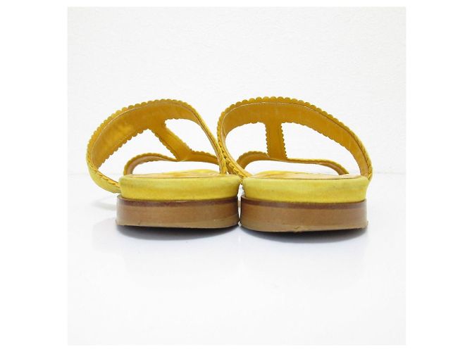 Sandali piatti in suede Altus di Manolo Blahnik Giallo - vista 4