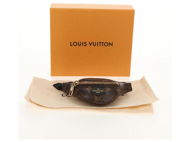 LOUIS VUITTON Monogram Brassle Party Borsa a Fanny Bracciale M6562A LV Auth 157962SM Monogramma - vista 12