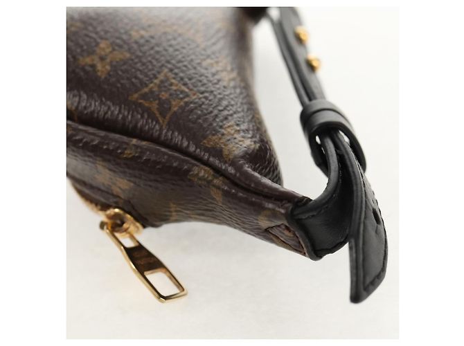 LOUIS VUITTON Monogram Brassle Party Borsa a Fanny Bracciale M6562A LV Auth 157962SM Monogramma - vista 17