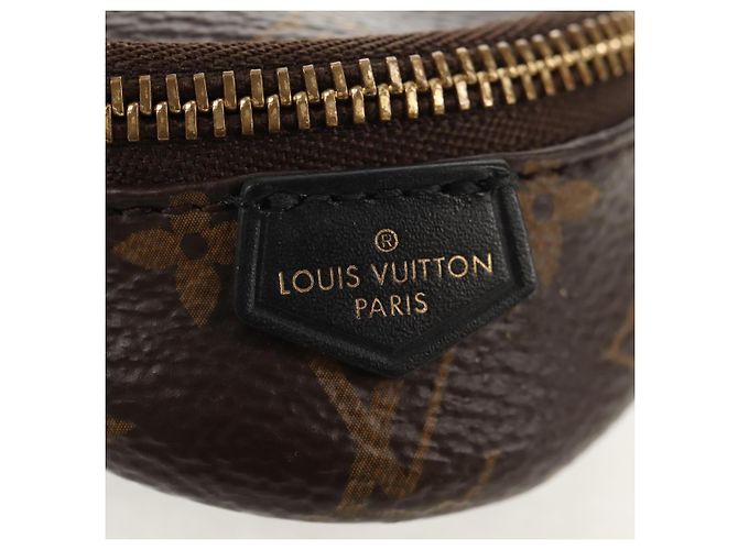 LOUIS VUITTON Monogram Brassle Party Borsa a Fanny Bracciale M6562A LV Auth 157962SM Monogramma - vista 18