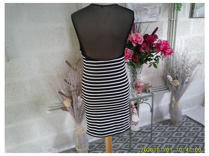 Autre Marque Robe Manigance sans manches en tulle et rayée - vue 5