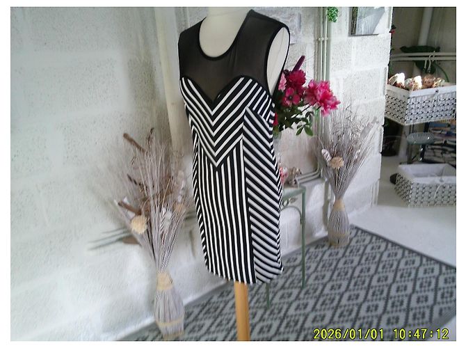 Autre Marque Robe Manigance sans manches en tulle et rayée - vue 6