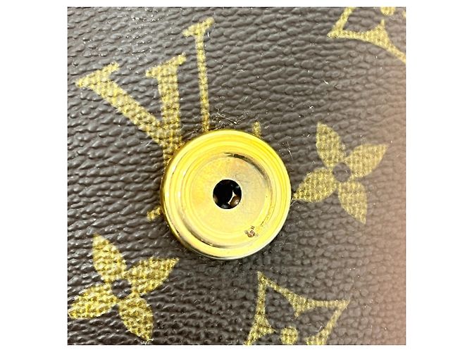 Borsa a Spalla Saint-Cloud GM di Louis Vuitton Marrone - vista 13