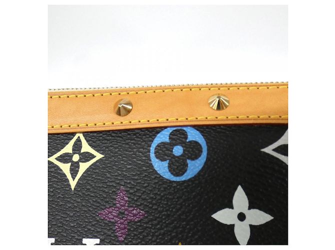 Louis Vuitton Multicolore Pochette Accessoires - view 4