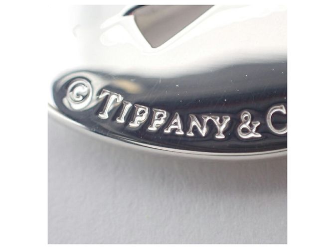 Tiffany & Co Collar Péndulo Corazón con Llave Tiffany 925 - vista 6