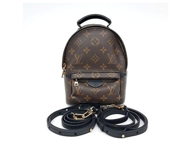 Zaino Palm Springs Mini M41562 di Louis Vuitton Marrone - vista 2