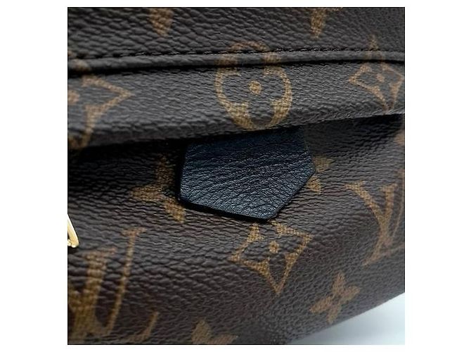 Zaino Palm Springs Mini M41562 di Louis Vuitton Marrone - vista 4