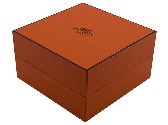 Hermès Fermaglio per cravatta perforato Hermes Evelyn H - vista 12