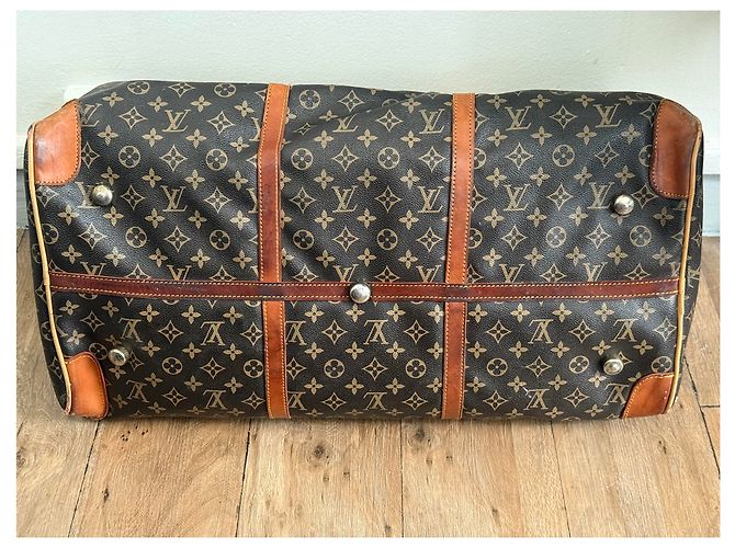 Borsa Louis Vuitton da Donna in Ottime Condizioni - vista 2