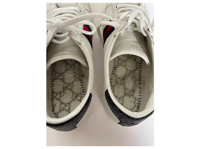 Sneaker Gucci Ace in pelle bianca Bianco - vista 12