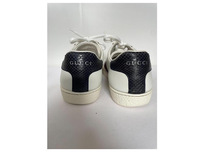 Sneaker Gucci Ace in pelle bianca Bianco - vista 5