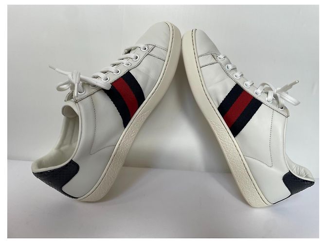 Sneaker Gucci Ace in pelle bianca Bianco - vista 6