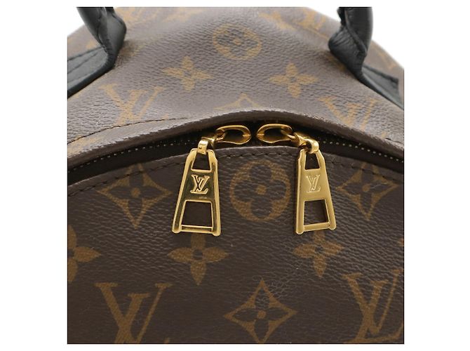 Zaino Palm Springs MM Monogram Louis Vuitton Marrone - vista 5