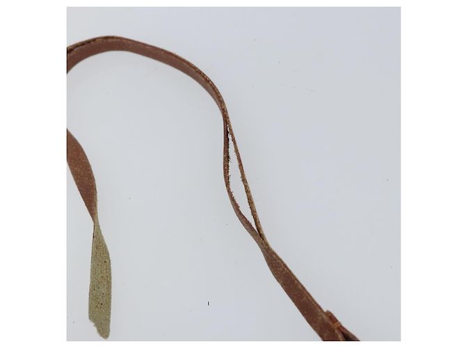 LOUIS VUITTON Pochette Papillon Monogramma LV Auth gh823 - vista 9