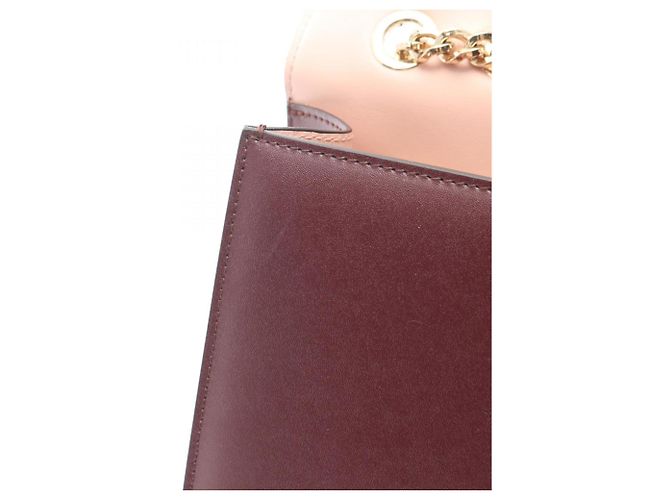 Borsa a Spalla Vara Ribbon di Salvatore Ferragamo Bordò - vista 5