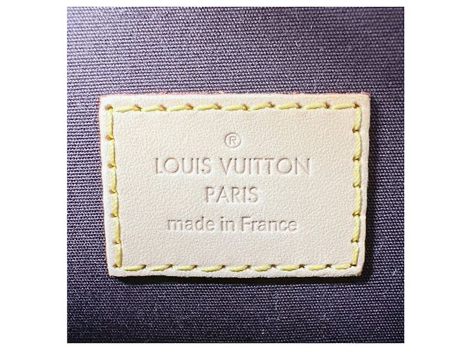 Borsa Alma PM Louis Vuitton Rosso Bordò - vista 14