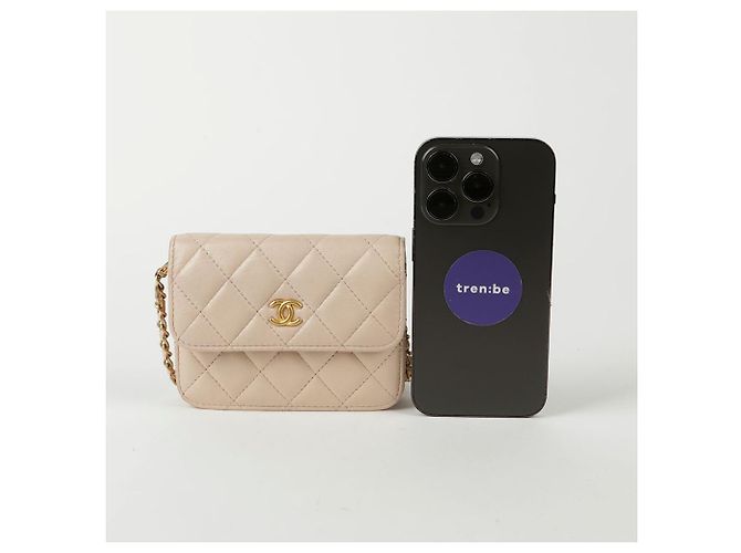Chanel Borsa a spalla e crossbody mini palla dorata in vita Rosa - vista 11