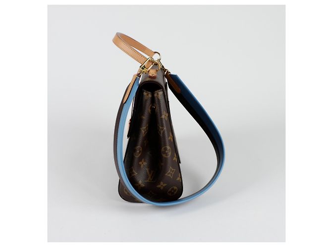 Louis Vuitton Borsa a spalla Cluny MM Marrone - vista 3