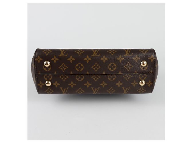 Louis Vuitton Borsa a spalla Cluny MM Marrone - vista 7