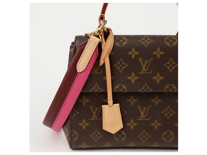 Louis Vuitton Borsa a spalla Cluny BB Marrone - vista 2