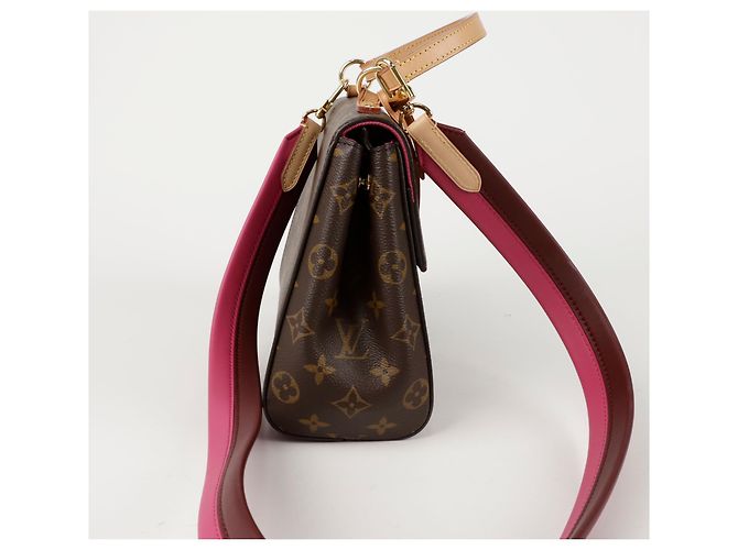 Louis Vuitton Borsa a spalla Cluny BB Marrone - vista 5