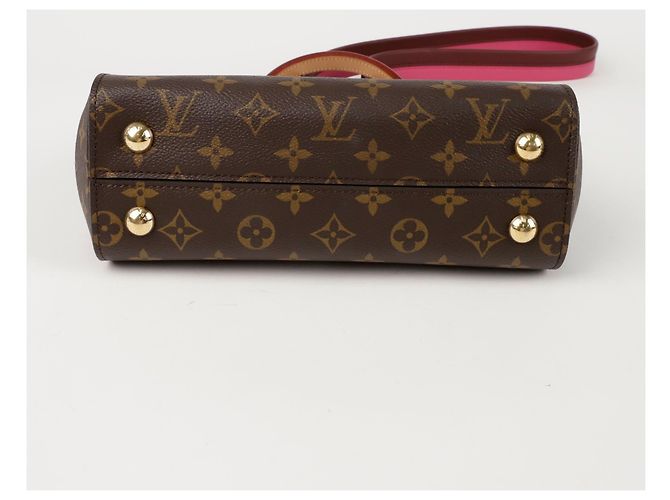 Louis Vuitton Borsa a spalla Cluny BB Marrone - vista 6