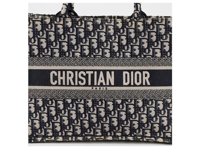 Book Tote Dior Borsa Tote Media Book Blu - vista 2