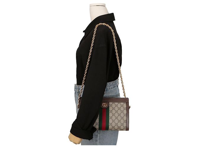 Gucci Borsa a tracolla Ophidia Small Chain Marrone - vista 11