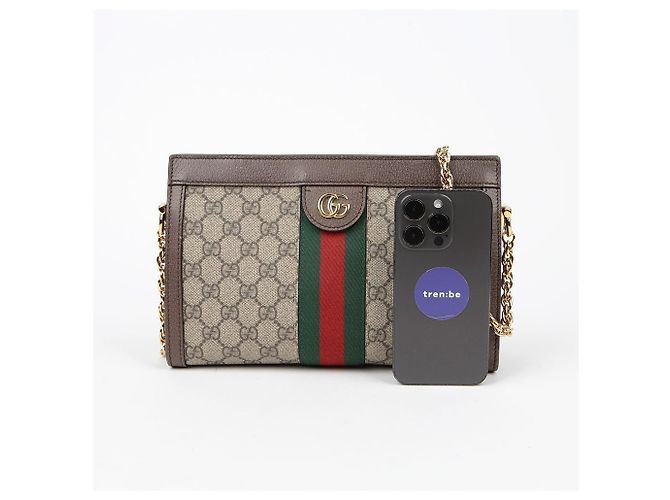 Gucci Borsa a tracolla Ophidia Small Chain Marrone - vista 9