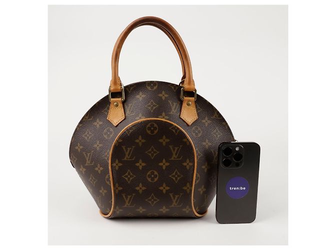 Louis Vuitton Borsa Tote Ellipse PM Marrone - vista 11