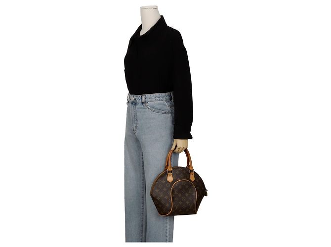 Louis Vuitton Borsa Tote Ellipse PM Marrone - vista 13