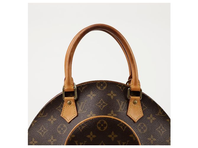 Louis Vuitton Borsa Tote Ellipse PM Marrone - vista 2