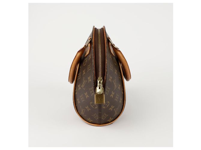 Louis Vuitton Borsa Tote Ellipse PM Marrone - vista 3