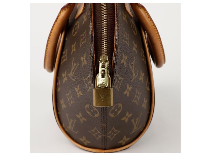 Louis Vuitton Borsa Tote Ellipse PM Marrone - vista 4
