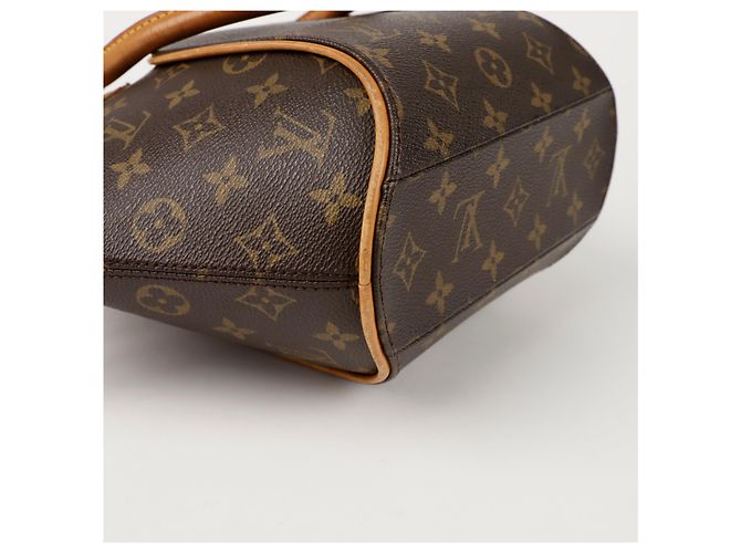 Louis Vuitton Borsa Tote Ellipse PM Marrone - vista 9
